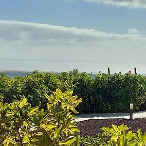 The Black Horse Canarias - Adults Only Casa di campagna Maspalomas (Gran Canaria)